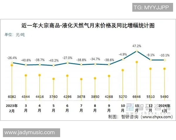 专业分析：液化天然气在区域市场的防守策略与应对措施
